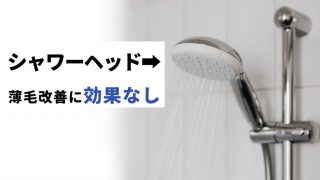 シャワーヘッドは薄毛改善に効果ナシ！AGAを治す要素が1つも無い